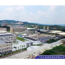 广东王品调味食品有限公司